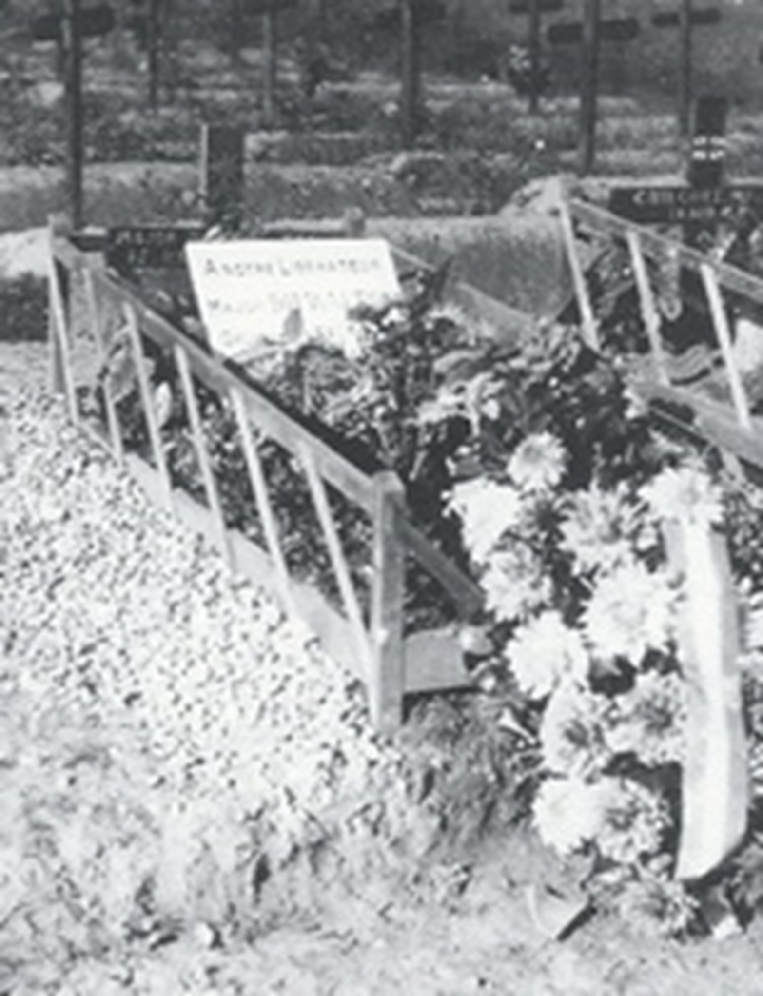 Image of D.H.MC † Walton.